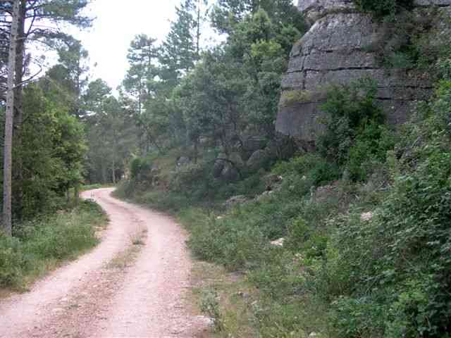 Agrandir l'image Piste en direction du Coll Blanc (Els Ports)