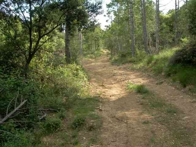 Agrandir l'image Piste du Coll Blanc (Els Ports)