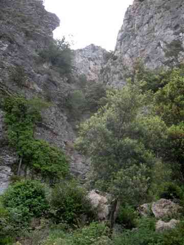 Agrandir l'image Els Ports, paysage
