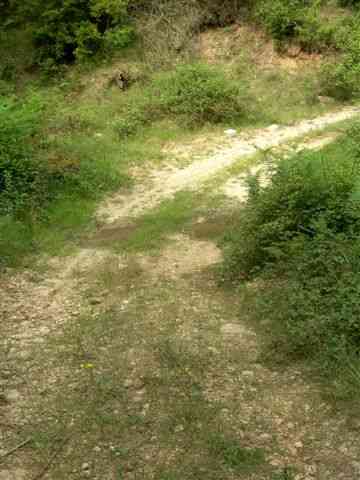 Agrandir l'image Chemin montant au Coll de Botana