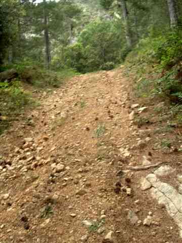 Agrandir l'image Chemin montant au Coll de Botana