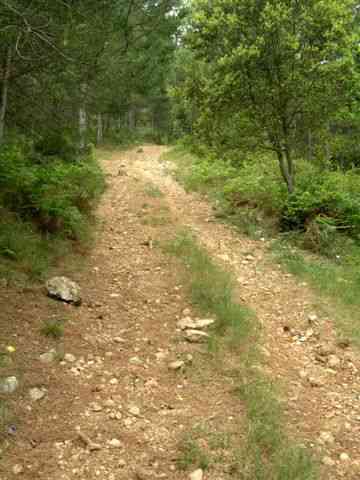 Agrandir l'image Chemin montant au Coll de Botana