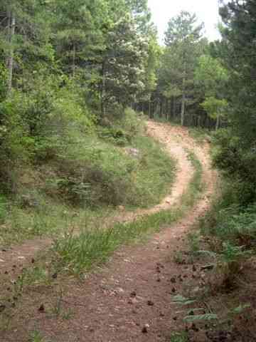 Agrandir l'image Chemin montant au Coll de Botana