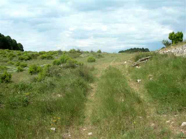 Agrandir l'image Coll de Botana en vue