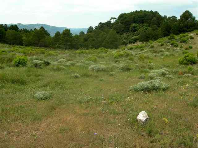 Agrandir l'image Abords du Coll de Botana