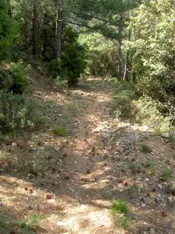 Agrandir l'image Sentier du Coll de Botana