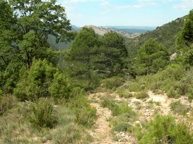 Agrandir l'image Sentier du Coll de Botana