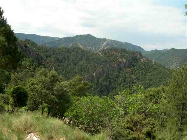 Agrandir l'image Panaroma sur le sentier en direction du Coll del Llop