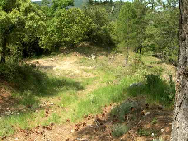Agrandir l'image Sentier entre les Colls de la Botana et del Llop