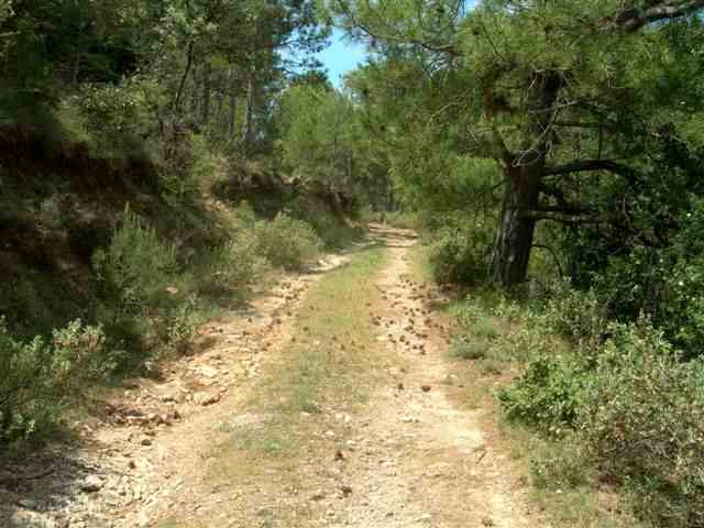 Agrandir l'image Chemin du Coll del Llop