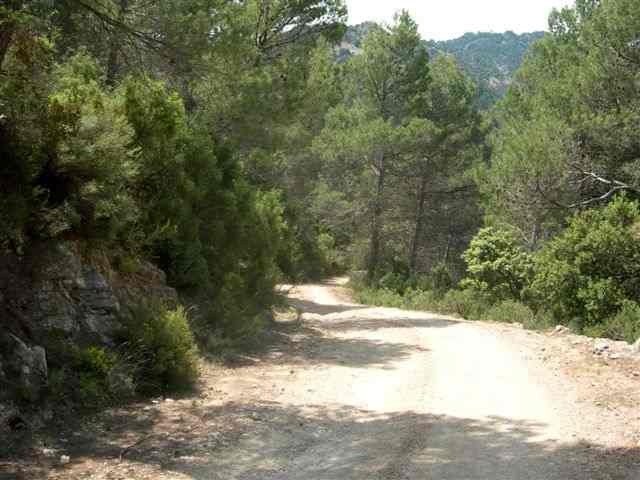 Agrandir l'image Piste du Coll del Llop