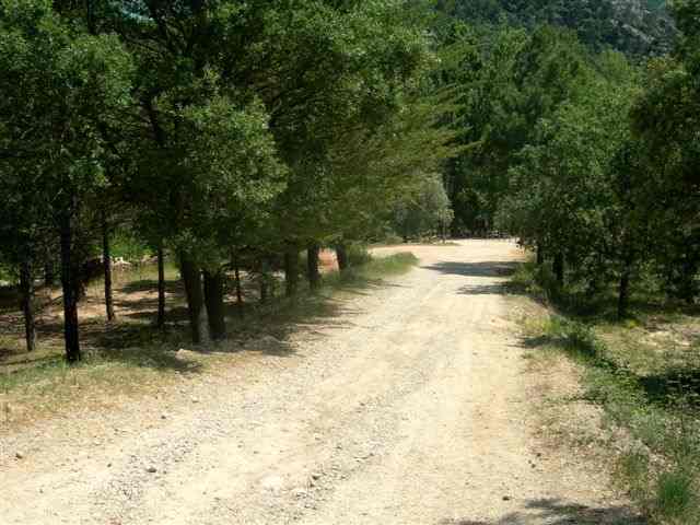 Agrandir l'image Piste du Coll del Safra