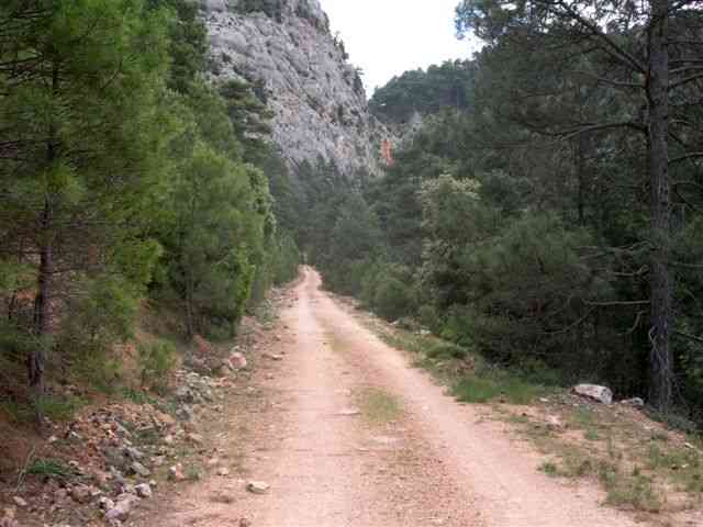 Agrandir l'image Piste du Coll de Montfort