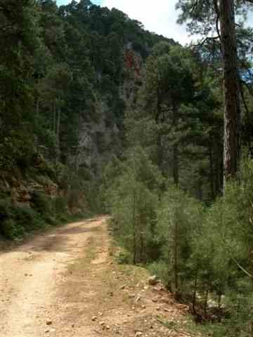 Agrandir l'image Piste du Coll de Montfort