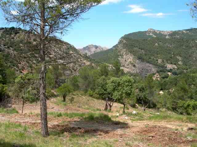 Agrandir l'image Panorama (Els Ports)