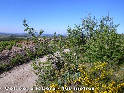 Coll de la Ribera - ES-GI-168 mtres