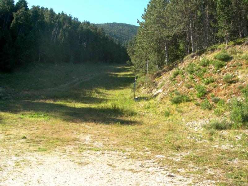 Agrandir l'image En direction de la Collada dels Cerdans