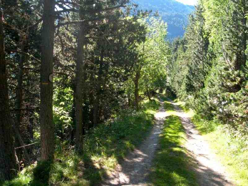 Agrandir l'image En direction de la Collada dels Cerdans