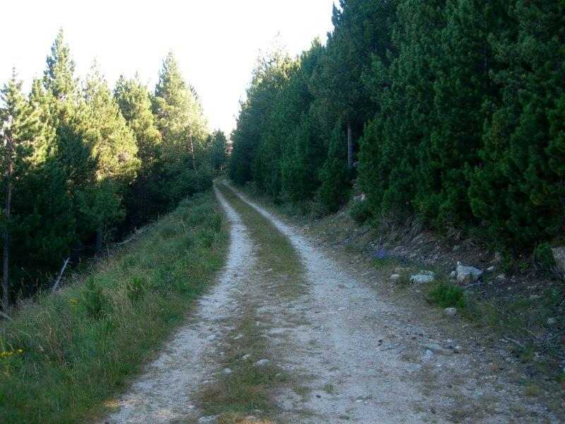 Agrandir l'image En direction de la Collada dels Cerdans