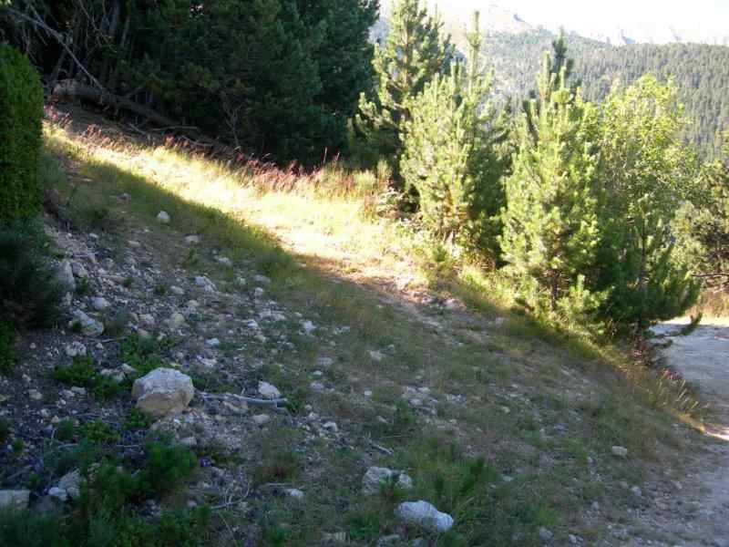 Agrandir l'image En direction de la Collada dels Cerdans