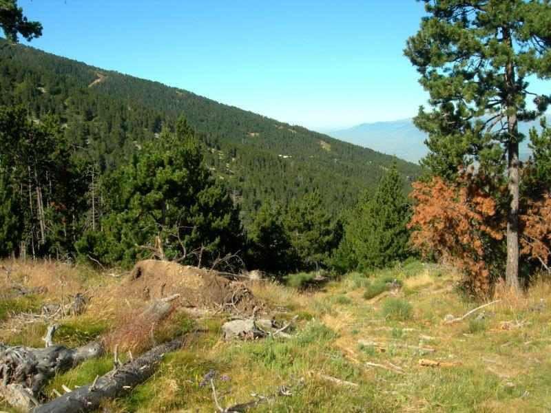 Agrandir l'image En direction de la Collada dels Cerdans