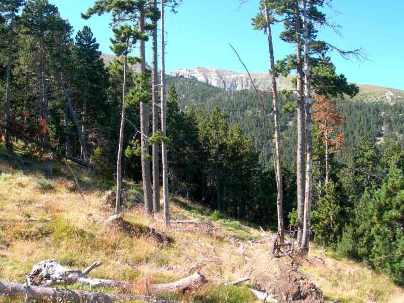 Agrandir l'image En direction de la Collada dels Cerdans
