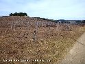 Col de Fabrgues - FR-34-0198