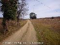 Col de Fabrgues - FR-34-0198