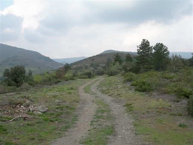 Agrandir l'image Chemin en direction du Col de Falet