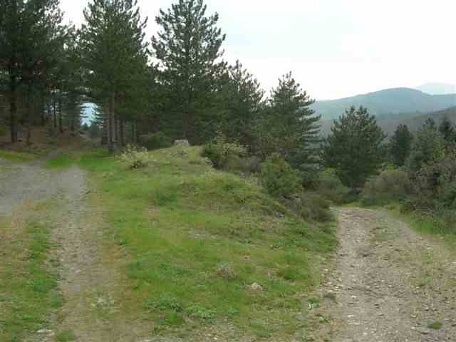 Agrandir l'image Embranchement vers la route de Saint-Vincent d'Olargues