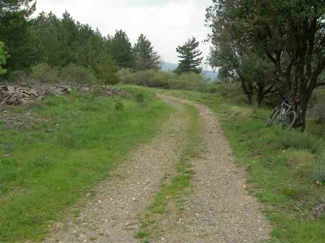 Agrandir l'image En direction de Saint-Vincent-d'Olargues