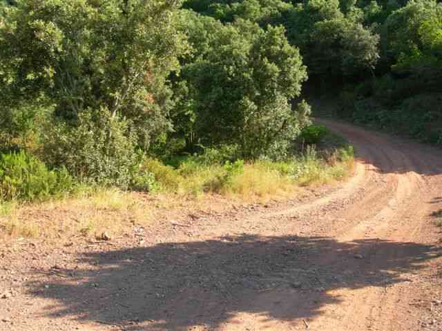 Agrandir l'image En diection du Coll de la Vicari