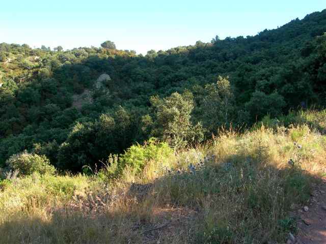 Agrandir l'image En diection du Coll de la Vicari
