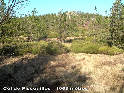 Col de Pissouillos - FR-34-1058