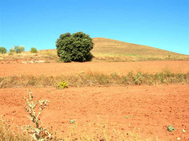 Agrandir l'image En direction d'El Colladillo