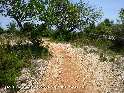 Agrandir l'image Coll de l'Amorosa - ES-T-0143