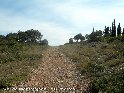 Col de Montmjean - FR-34-0114