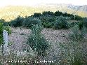 Agrandir l'image El Collado - ES-AB-975 mètres