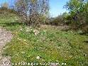 Col du Rulladou - FR-34-0555b