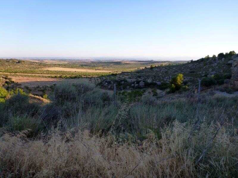 Agrandir l'image Granyena de les Garrigues En direction du Collet de la Cirera