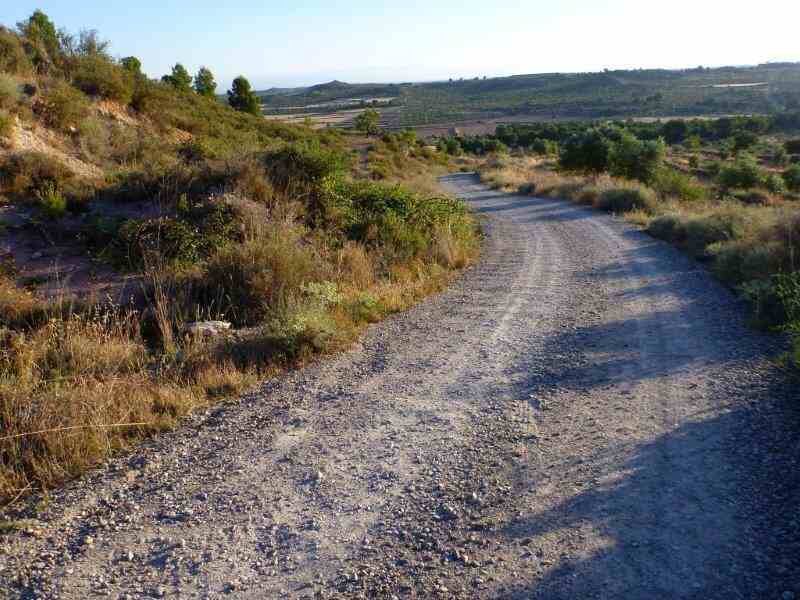 Agrandir l'image Granyena de les Garrigues En direction du Collet de la Cirera