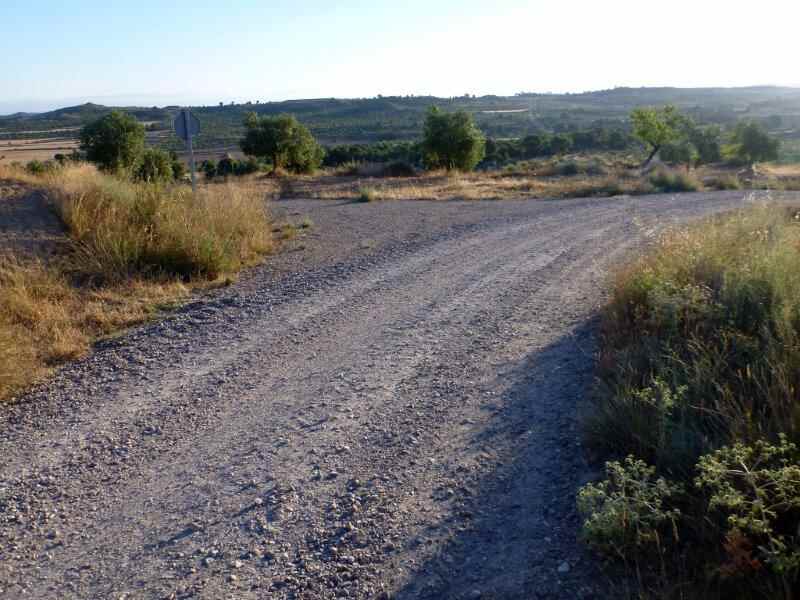 Agrandir l'image Granyena de les Garrigues En direction du Collet de la Cirera