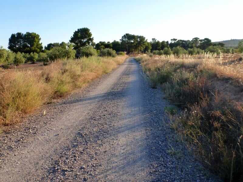 Agrandir l'image Granyena de les Garrigues En direction du Collet de la Cirera