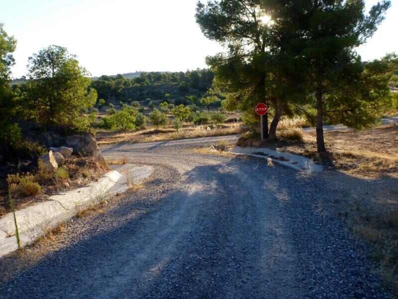 Agrandir l'image Granyena de les Garrigues En direction du Collet de la Cirera
