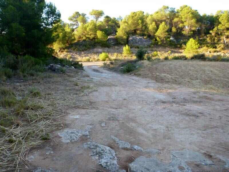 Agrandir l'image Collet de la Cirera