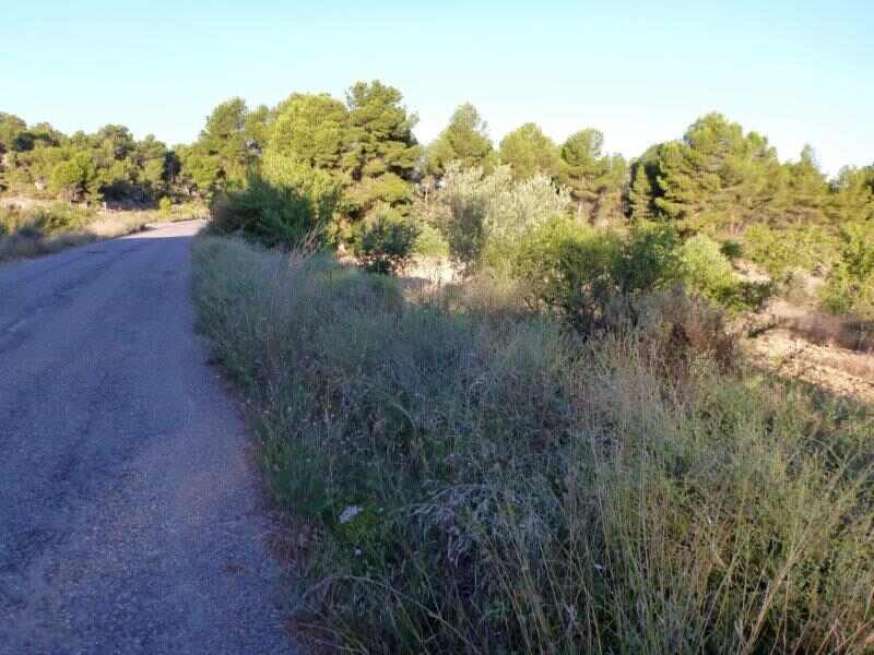 Agrandir l'image Collet de la Cirera En direction de Granyena de les Garrigues