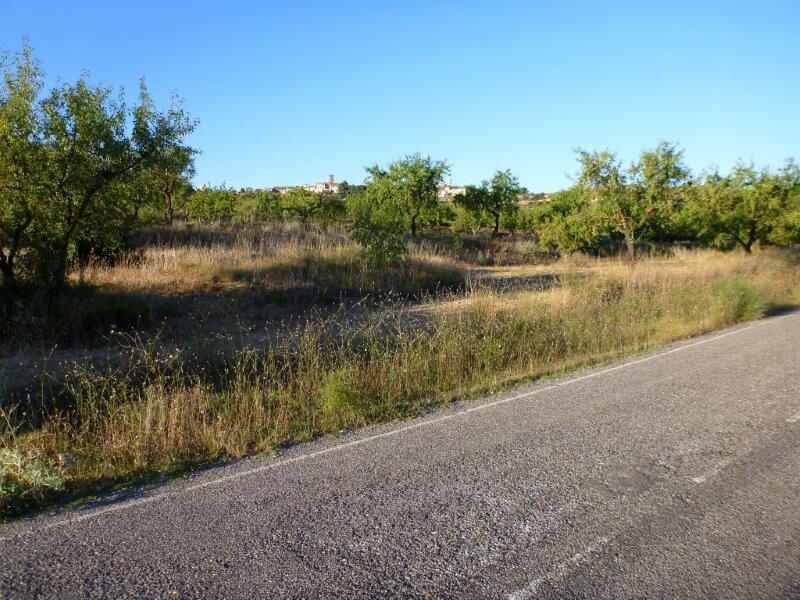Agrandir l'image Collet de la Cirera En direction de Granyena de les Garrigues