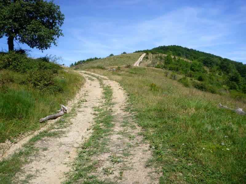 Agrandir l'image En direction du Col de Lamouroux