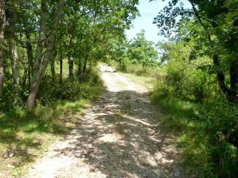Agrandir l'image En direction du Col Jannot