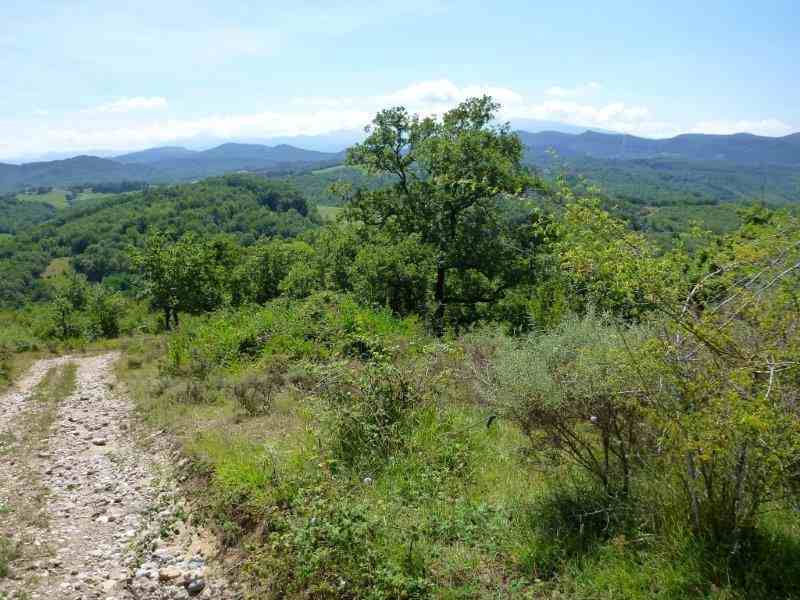 Agrandir l'image En direction du Col Jannot